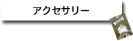 �A�N�Z�T���[